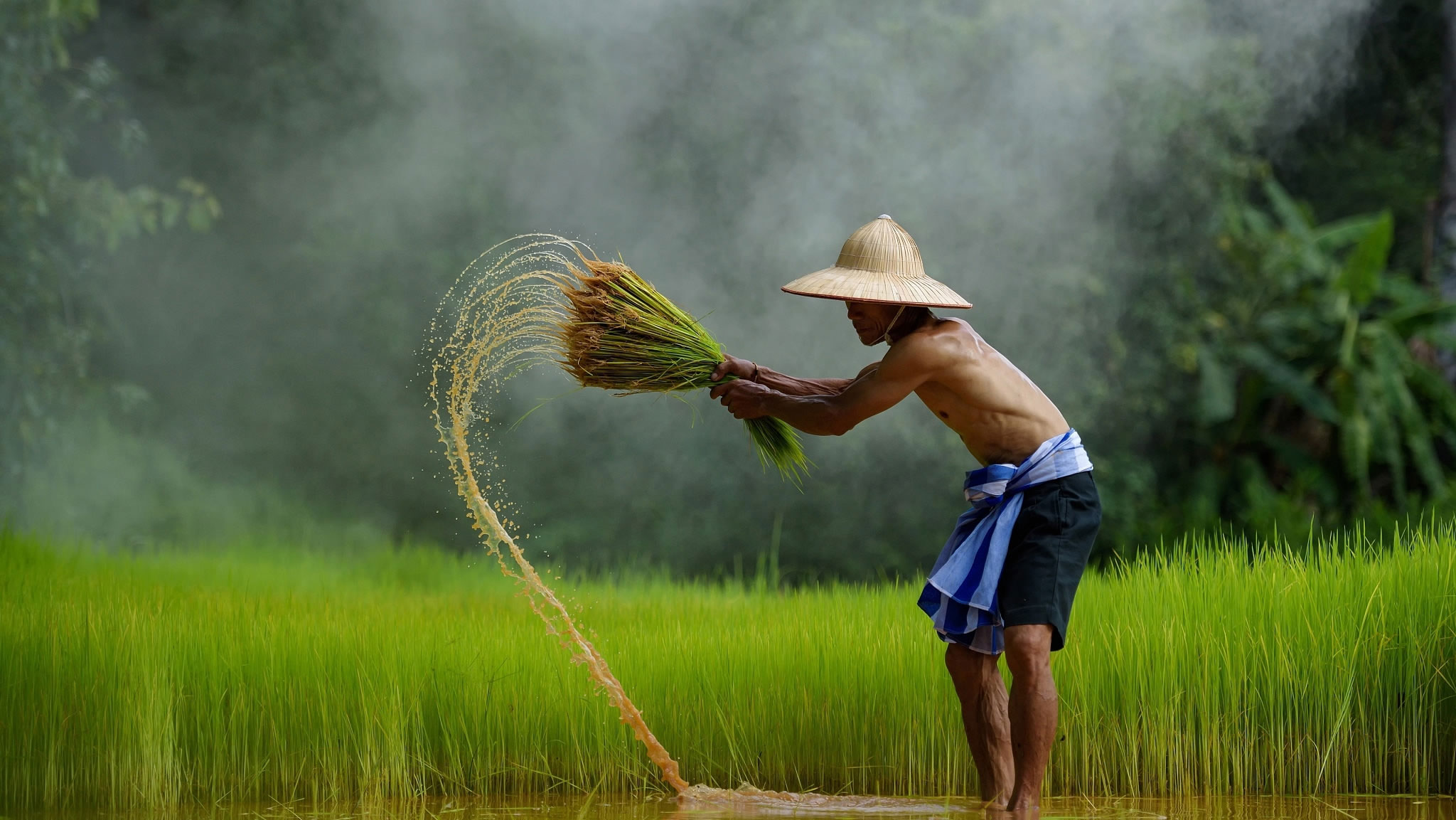 Tranh phong cảnh thanh bình