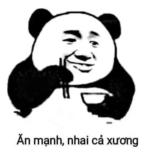 Panda Memes 14 xinh đẹp, đáng yêu