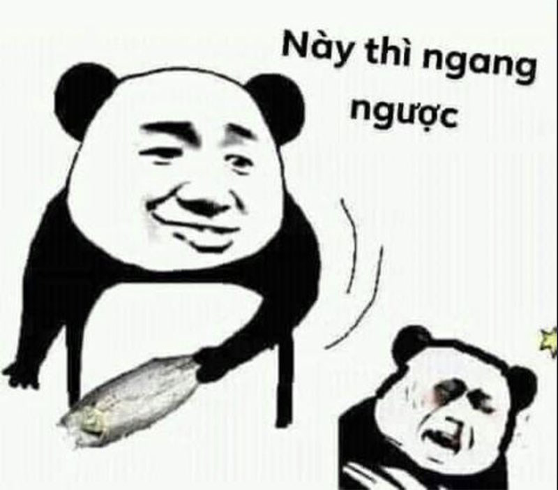 Panda 4 hình ảnh meme hài hước và tức giận