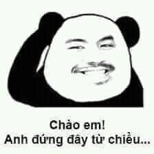 Panda Memes 7 dễ thương, xinh đẹp