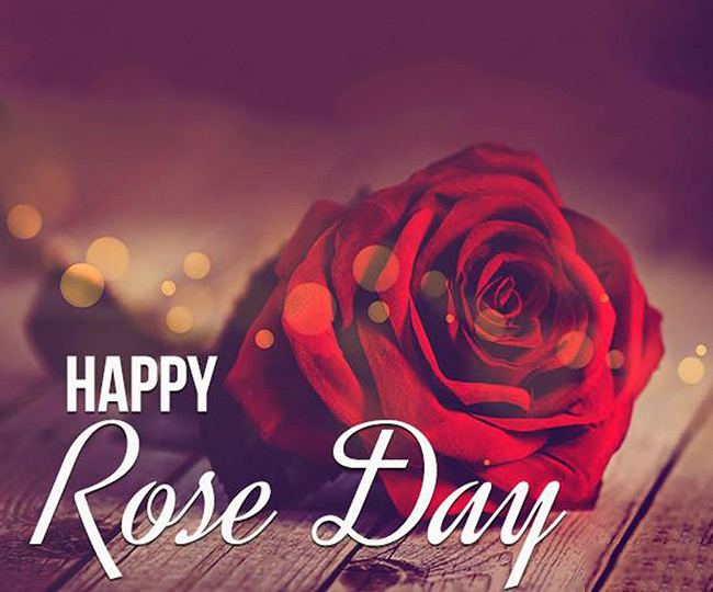 Tìm hiểu về ngày Rose Day