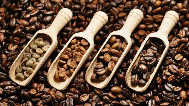 Tổng quan về các loại giống cà phê hiện nay