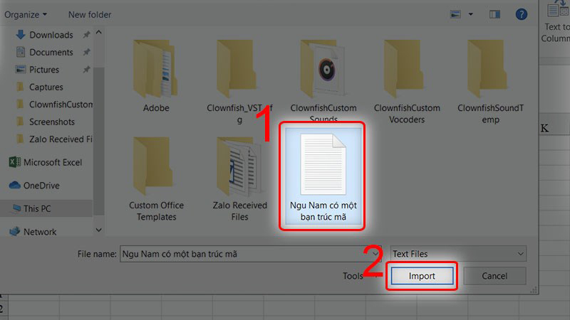 Tại giao diện cửa sổ Import Text File, bạn chọn file Plain Text mà bạn vừa lưu -> Nhấn Import