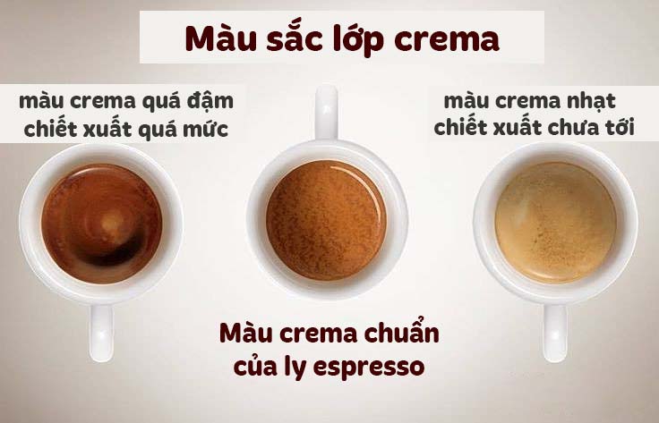 Crema chỉ ra điều gì?