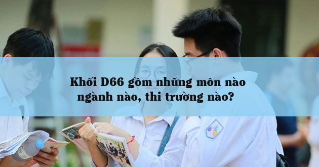 D66 gồm những môn nào?