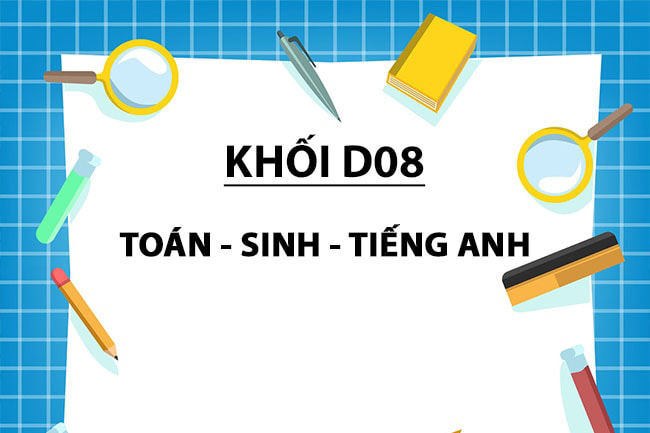 Các ngành của khối D08