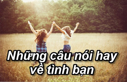 Những câu nói hay về tình bạn