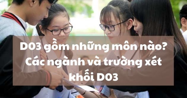 D03 gồm những gì?