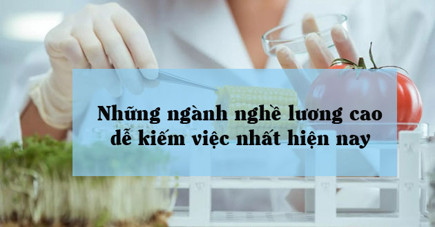 Nghề được trả lương cao ngày nay