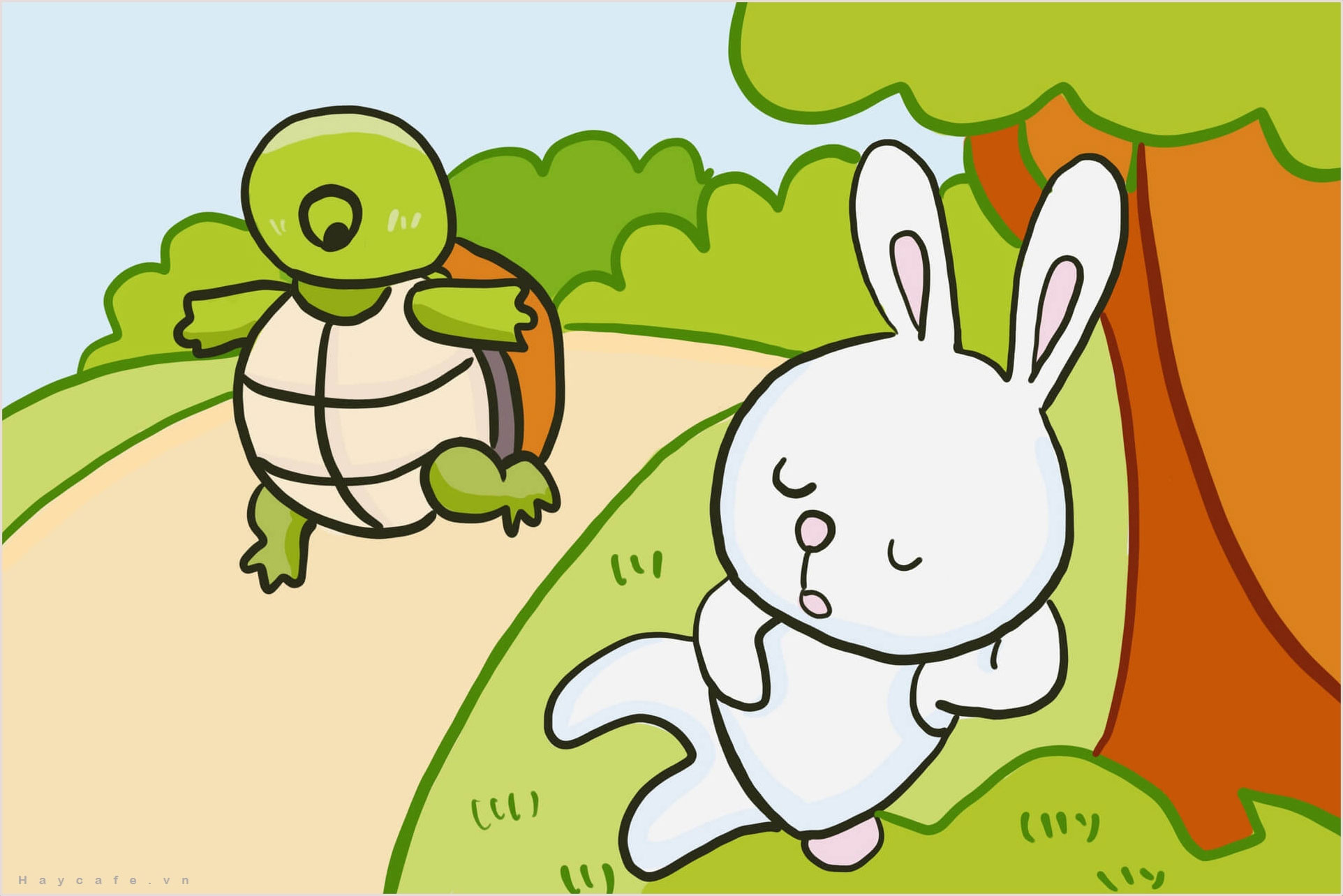 Hình ảnh rùa và thỏ rừng