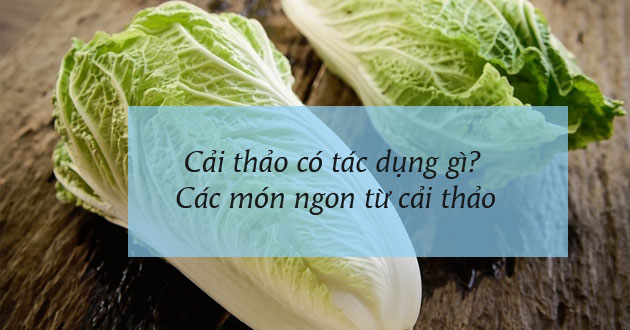 Cải thảo có tác dụng gì? Các món ngon từ cải thảo