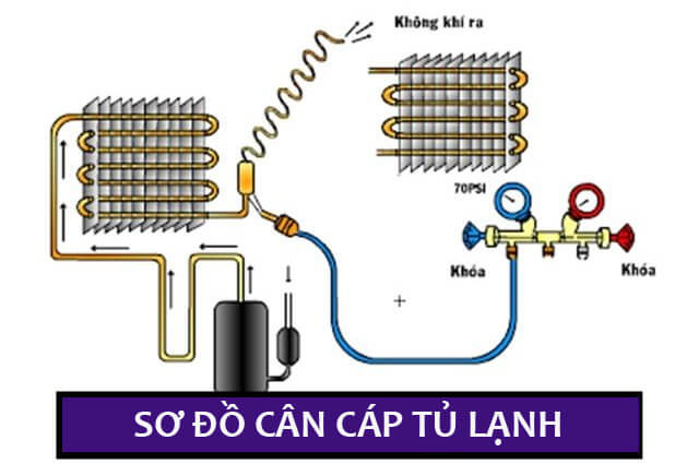 Sơ đồ tỷ lệ cho cáp tủ lạnh