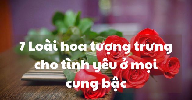 Hoa tượng trưng cho tình yêu