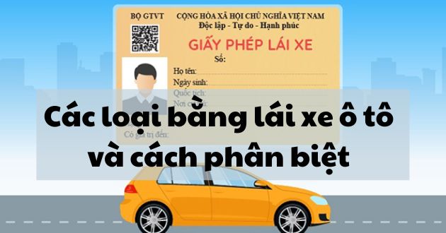 Các loại giấy phép lái xe