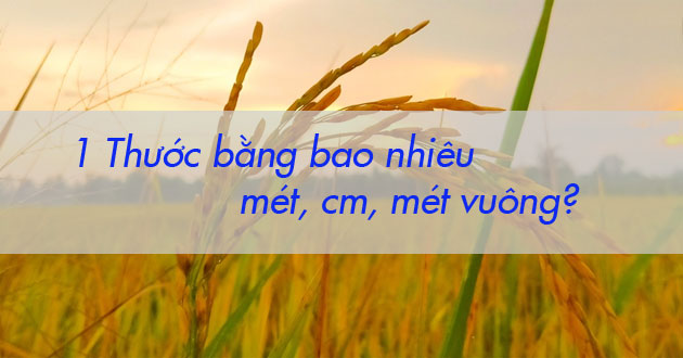 1 thước kẻ bằng bao nhiêu thước